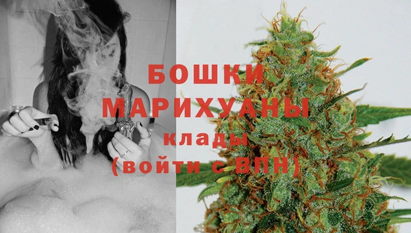 ешки Новодвинск