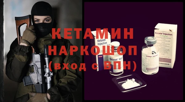 ешки Новодвинск