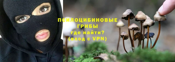 прущая мука Новозыбков
