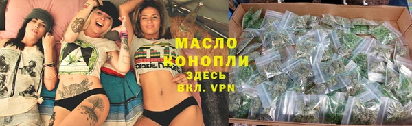 ешки Новодвинск