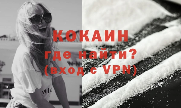 ешки Новодвинск