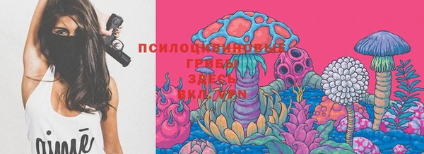 jwh Новокубанск